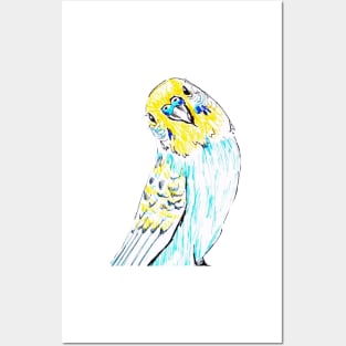 Budgie in Love Posters and Art